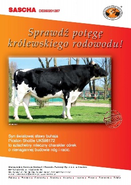 SASCHA