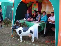 kozienice2012