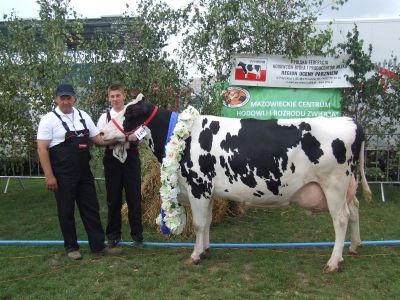 siedlce2012