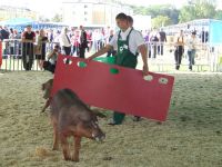 siedlce2012