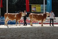 29.Fleckvieh na ringu-AGRARIA 2012