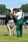 superchampion_i_champion_krowy_bertha5_pl00529872954-1
