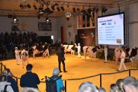 Karow 2015