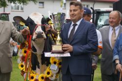 Zdobywca championatu wystawy hodowca Michał Matuszczyk krowa Klara 111