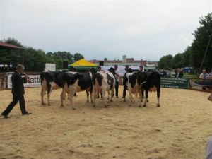 Modliszewice 2015