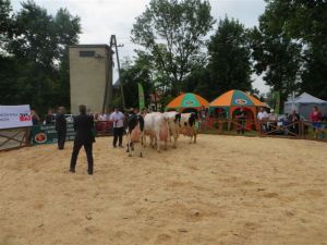 Modliszewice 2015
