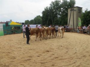 Modliszewice 2015
