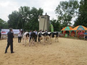 Modliszewice 2015