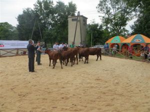 Modliszewice 2015