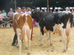 Modliszewice 2015