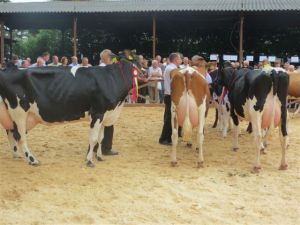 Modliszewice 2015