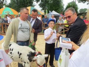 Modliszewice 2015