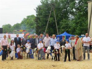 Modliszewice 2015