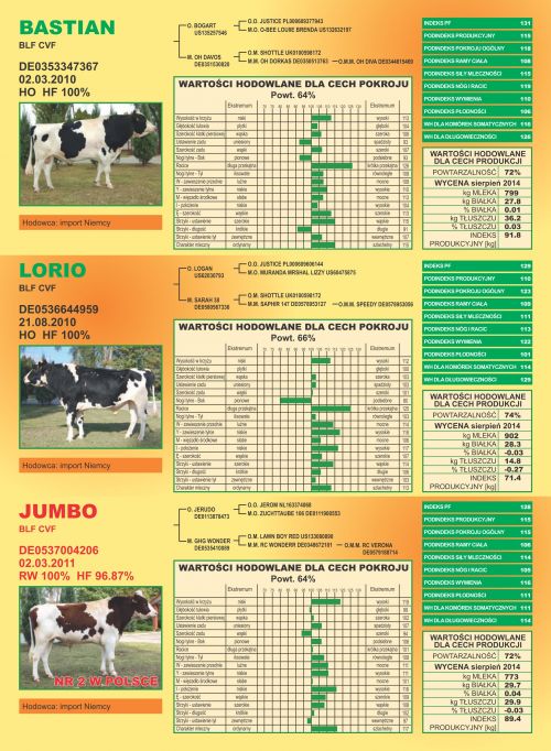 Oferta Buhajów - wycena Sierpień 2014