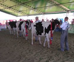POŚWIĘTNE 2013
