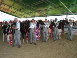 POŚWIĘTNE 2013