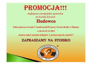 SZCZEGÓŁY PROMOCJI