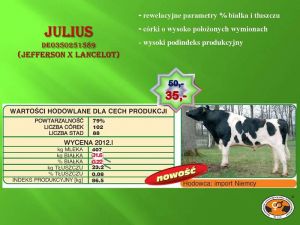 PROMOCJA!!!