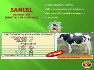PROMOCJA!!!