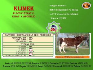 PROMOCJA!!!