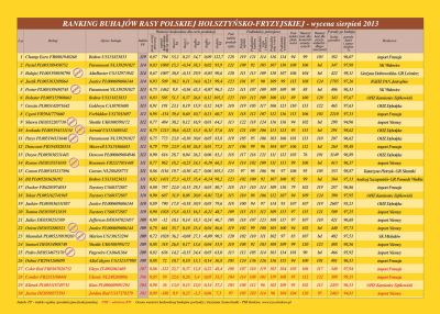 RANKING BUHAJÓW HF - wycena Sierpień 2013 - MCHIRZ SP. z o.o.