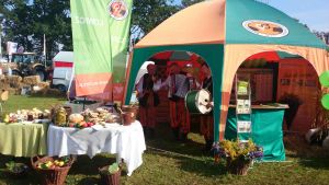 RolSzansa 2014