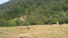 wp_20150829_003