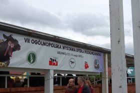 SIELINKO 2012