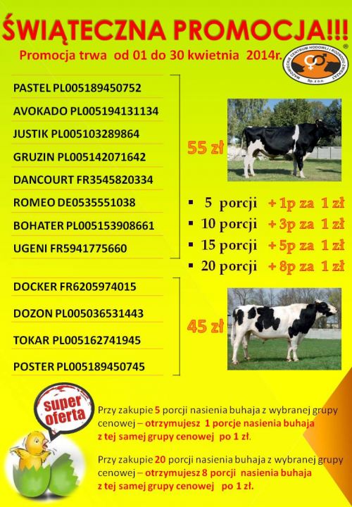 ŚWIĄTECZNA PROMOCJA