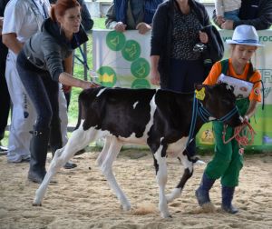 Siedlce 2015