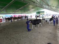 Sierpc 2012