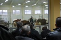 Spotkanie z hodowcami w Gostkowie