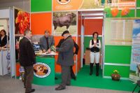 FERMA 2012