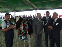 SIEDLCE 2011