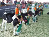 SIEDLCE 2011