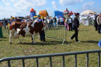 SIEDLCE 2011