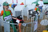 SIEDLCE 2011