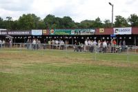 Bratoszewice 2011