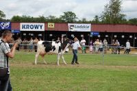 Bratoszewice 2011