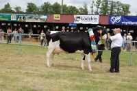 Bratoszewice 2011