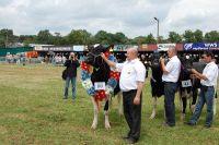 Bratoszewice 2011