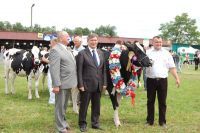 Bratoszewice 2011