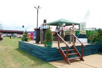 Bratoszewice 2011