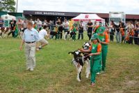 Bratoszewice 2011