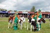 Bratoszewice 2011