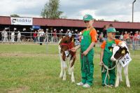 Bratoszewice 2011