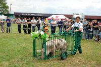 Bratoszewice 2011