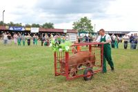 Bratoszewice 2011