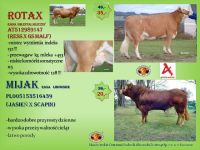 Promocja Agrotech Kielce 2012