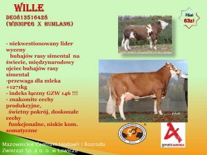 Agro Show 2012